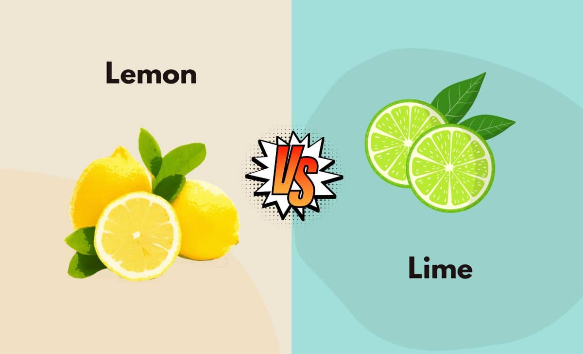 Lemon vs. Lime What's the Difference (With Table)
