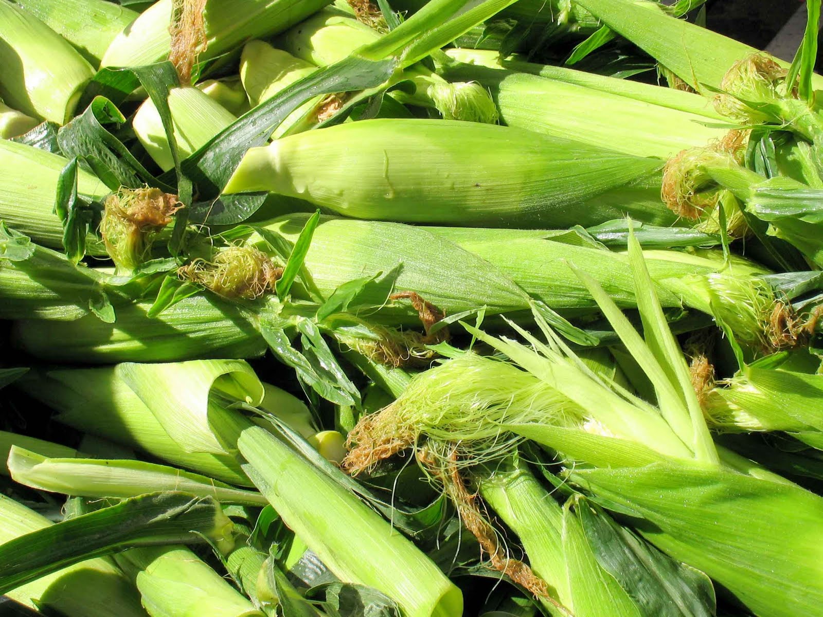 Carrboro Farmers' Market Weekly Newsletter