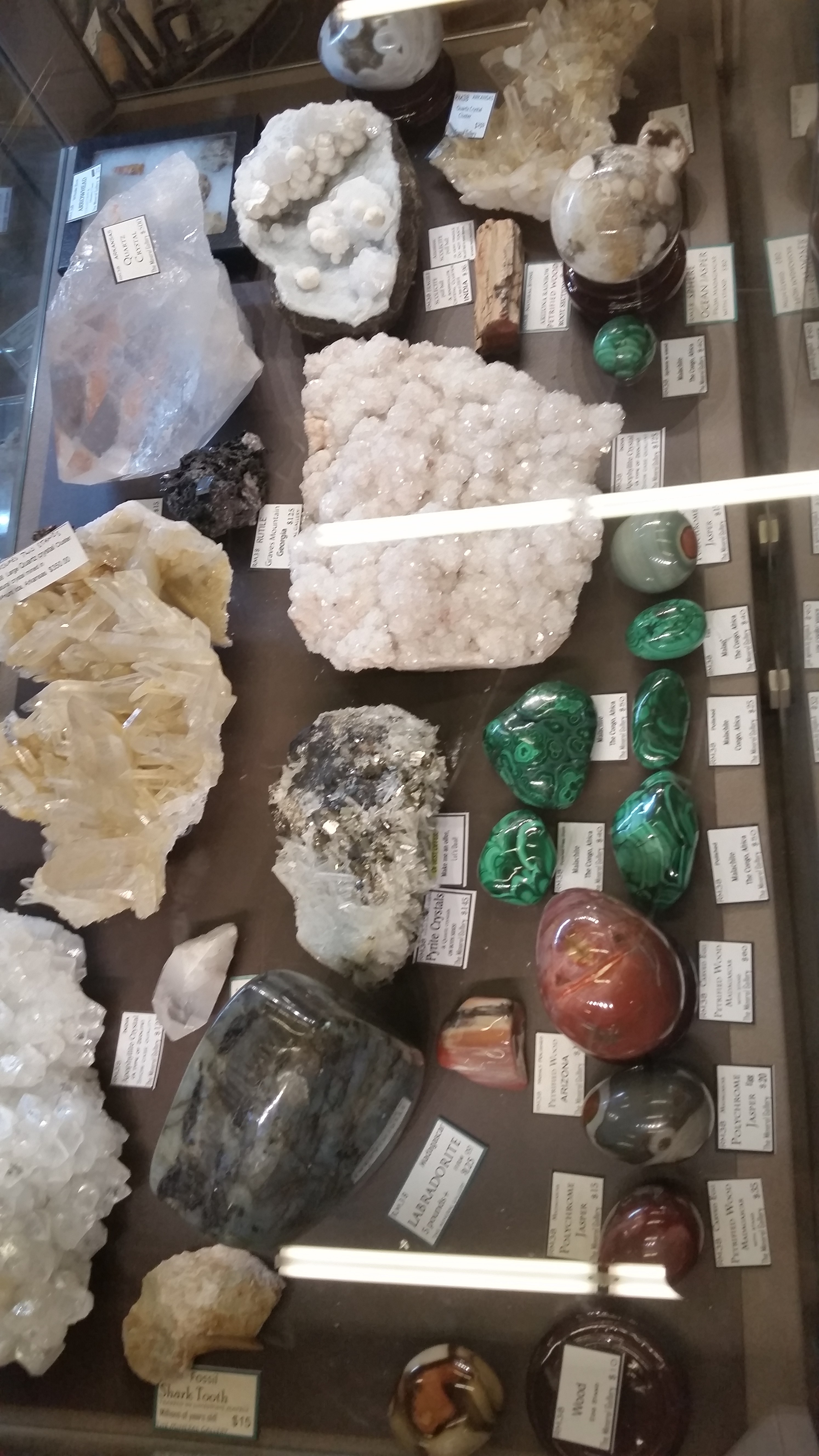 Atlanta Rock Shop The Mineral Gallery