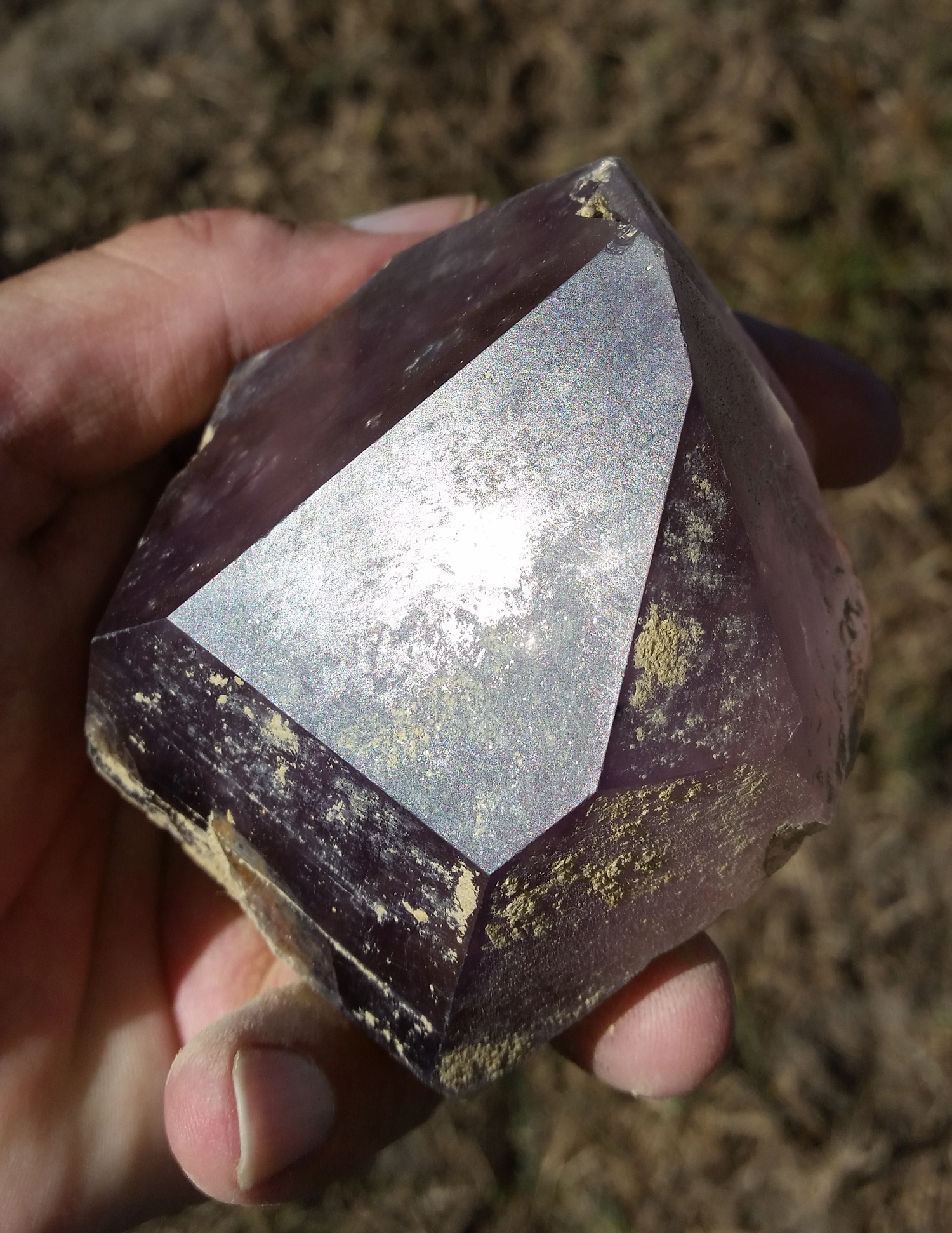 Fee mining Amethyst crystals in Warrenton AMETHYST MINE