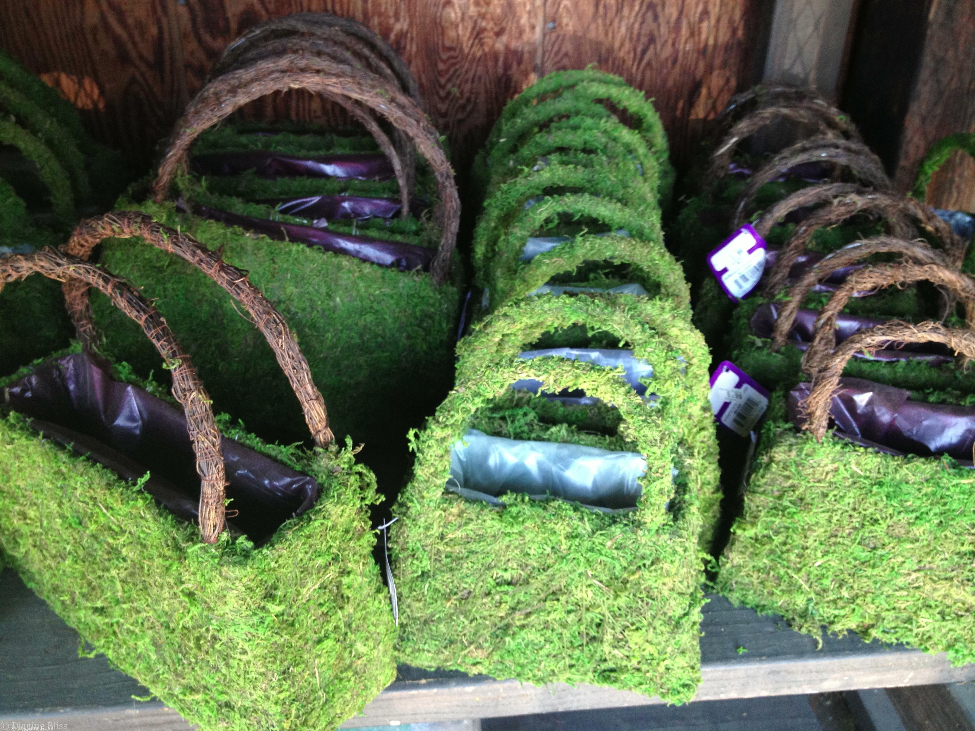 Super Moss Plantable Purses and Handbags Digging Bliss