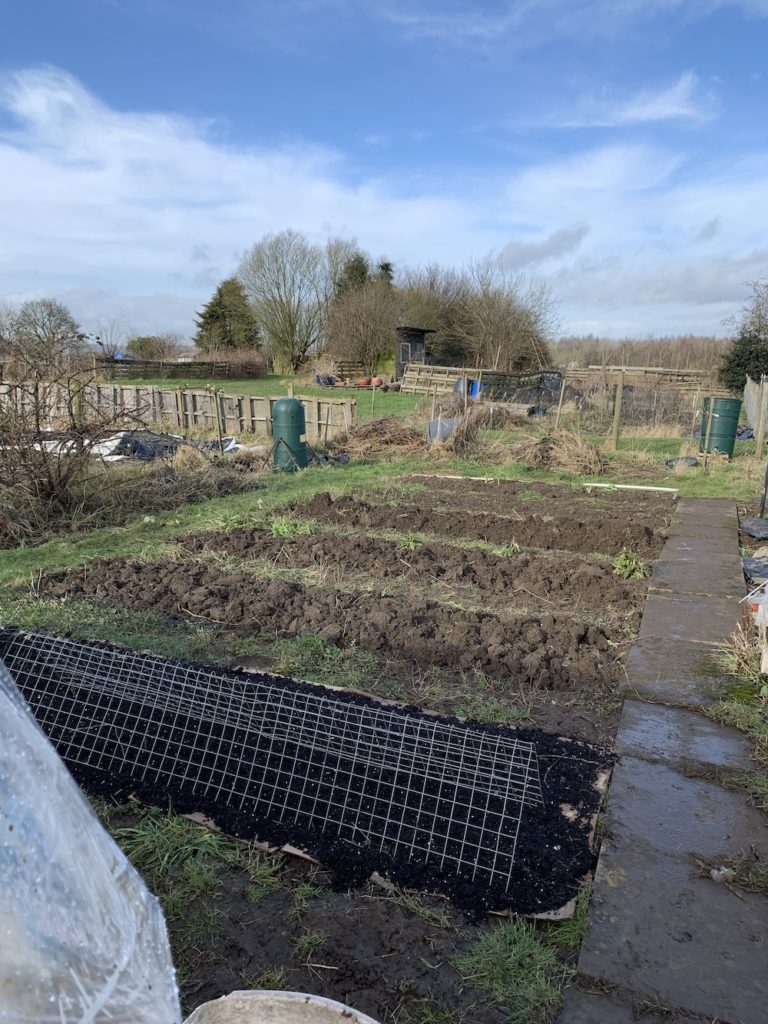 Our Allotment Jobs for March Digging the Earth