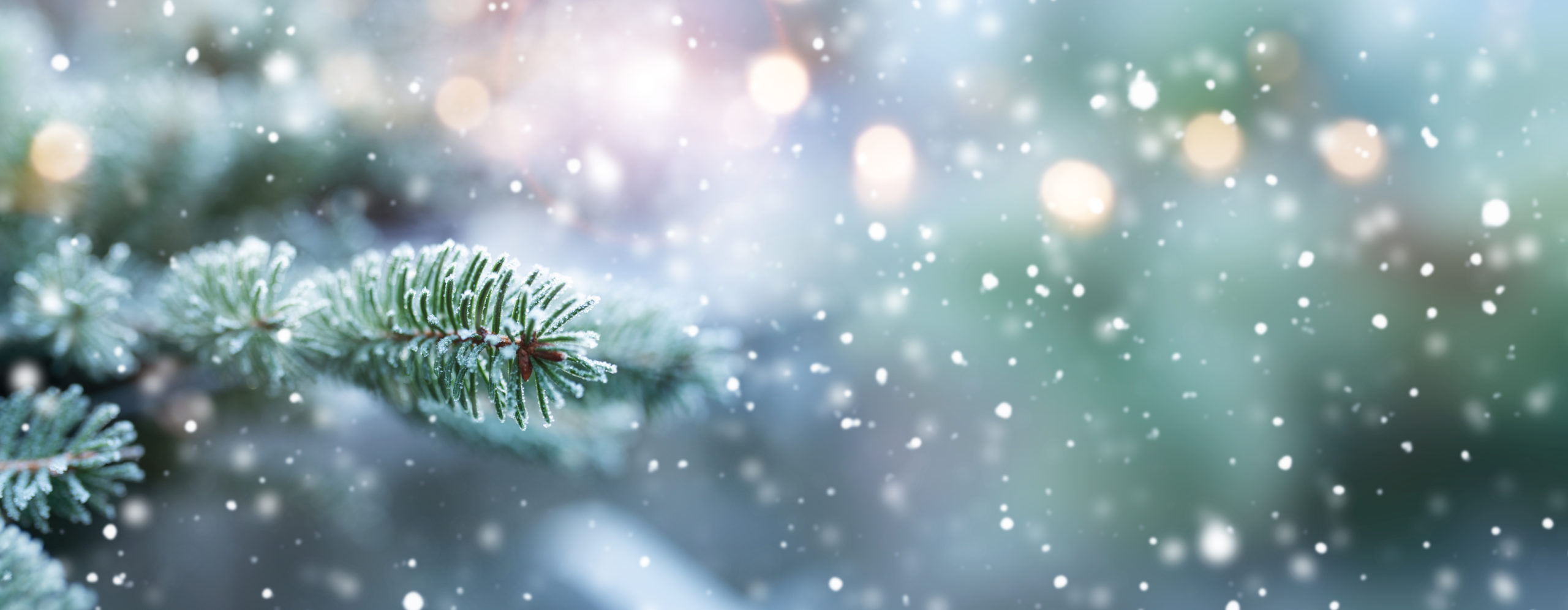 Vintage Winter Facebook Cover