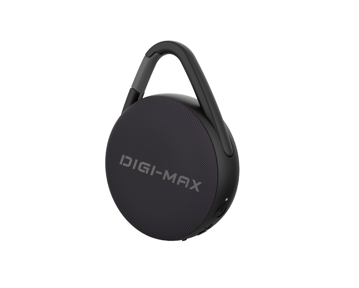 BLUETOOTH SPEAKER DM5053