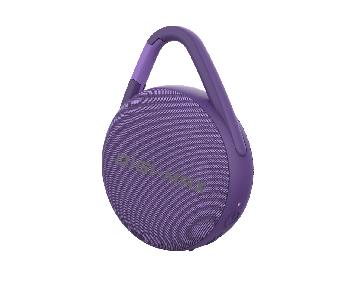 BLUETOOTH SPEAKER DM5053