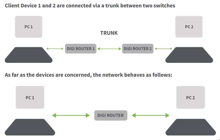 VLAN Trunking Example Digi International