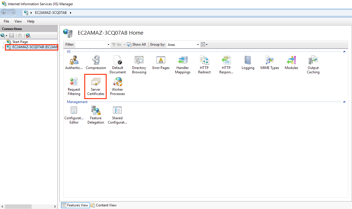 IIS 10 SSL Certificate Renewal Instructions