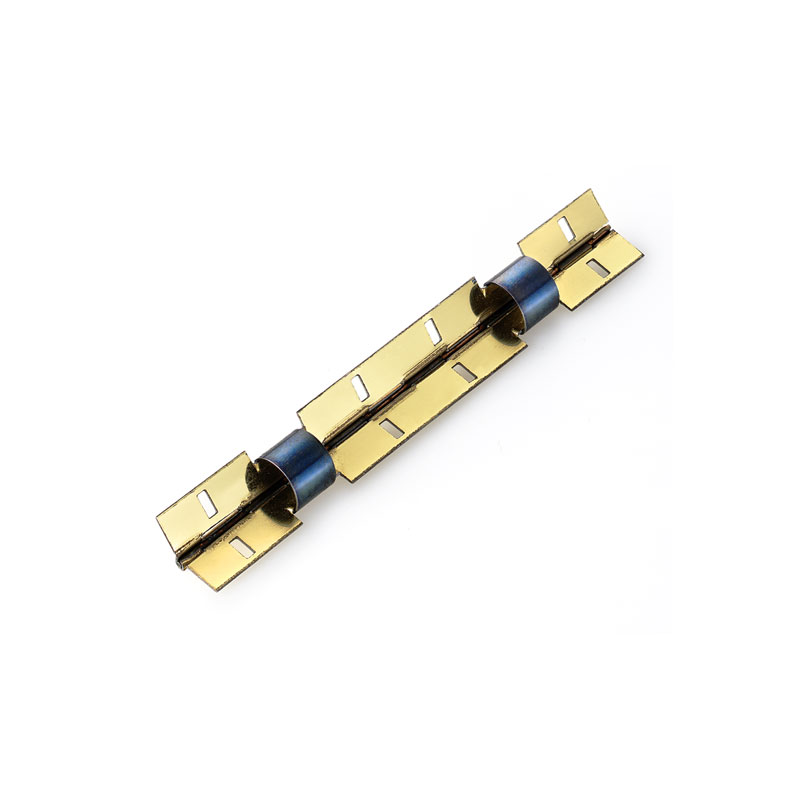 Spectacle case hinge DiGiEmme