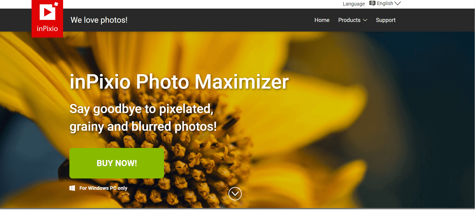 Inpixio Review 2023 Best Advanced Photo Editing Software?