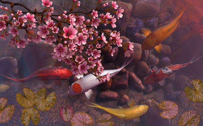 Koi Pond Sakura 3D Screensaver Download Animated 3D Screensaver