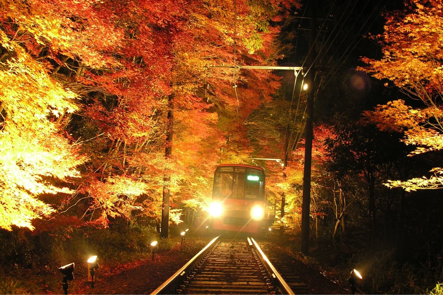 叡山電車 紅葉ライトアップ特別列車 デジスタイル京都｜京都のイベント、観光、グルメ、お出かけスポットなどの情報満載 “京都を楽しむプロ”が