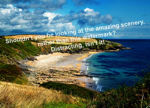 Watermark photos? Should you or shouldn't you?