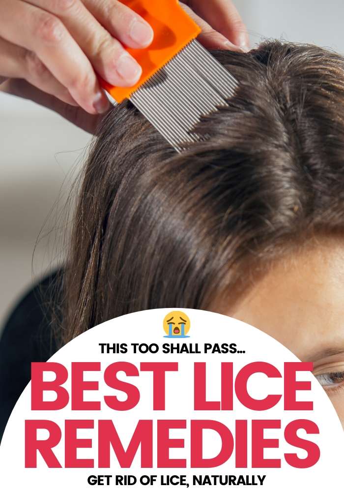 How To Get Rid Of Lice On Hair Brushes How to get rid of