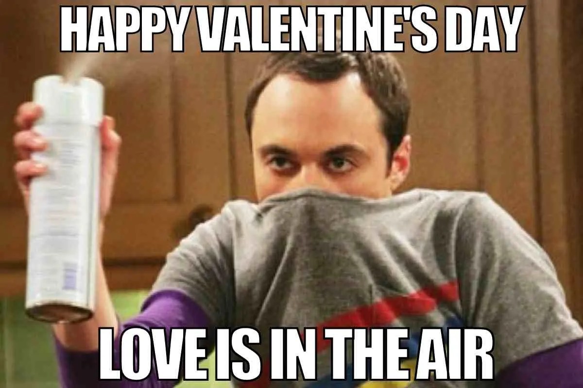 50 Hilarious Valentine Memes For Lovebirds And Singles Alike
