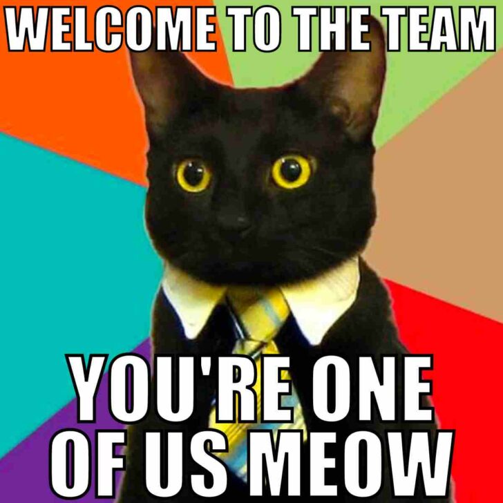 30 Best Team Memes And Images To Share With Your Teammates