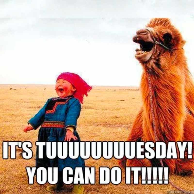 Funny Tuesday Images(03)