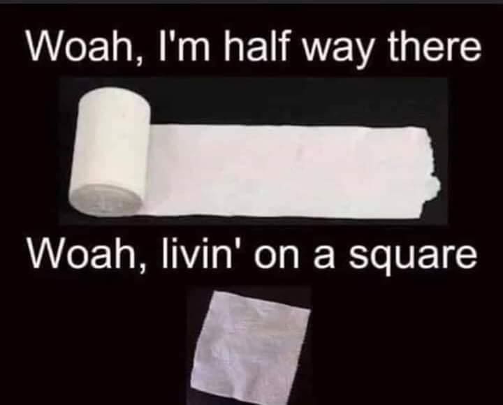 20 Hilarious Toilet Paper Memes To Wipe Away Boredom