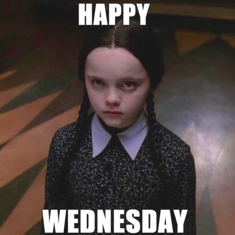 50 Fun Wednesday Memes To Get You Through The MidWeek Slump