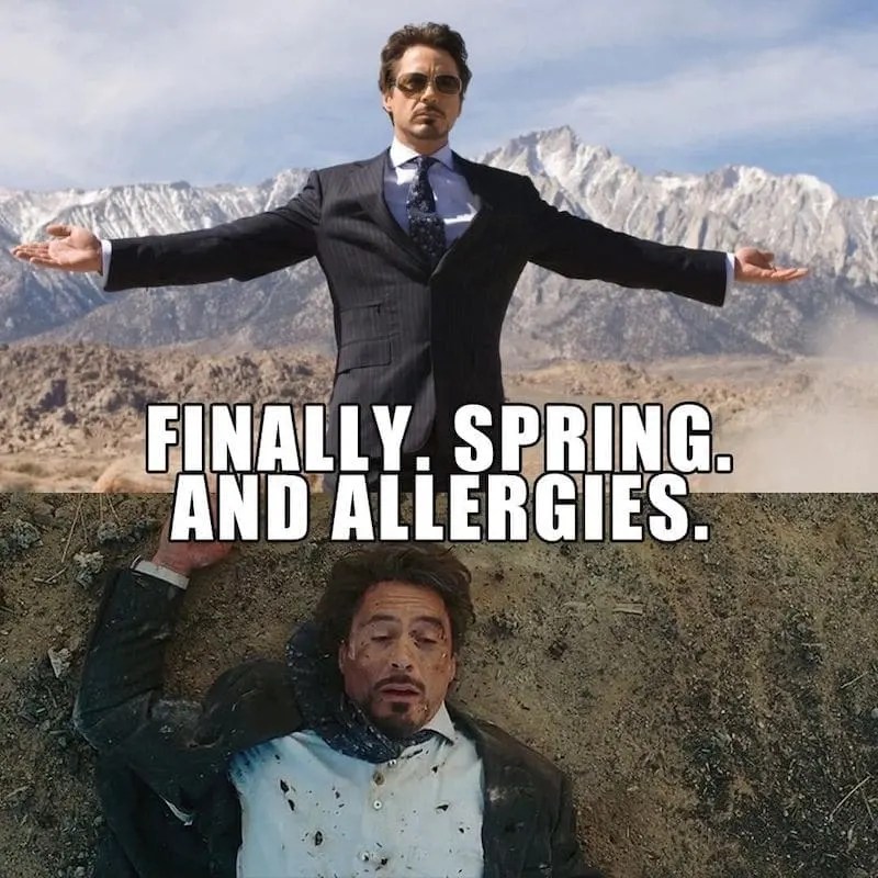 35 Funny Allergy Memes About Pollen And Seasonal Allergies