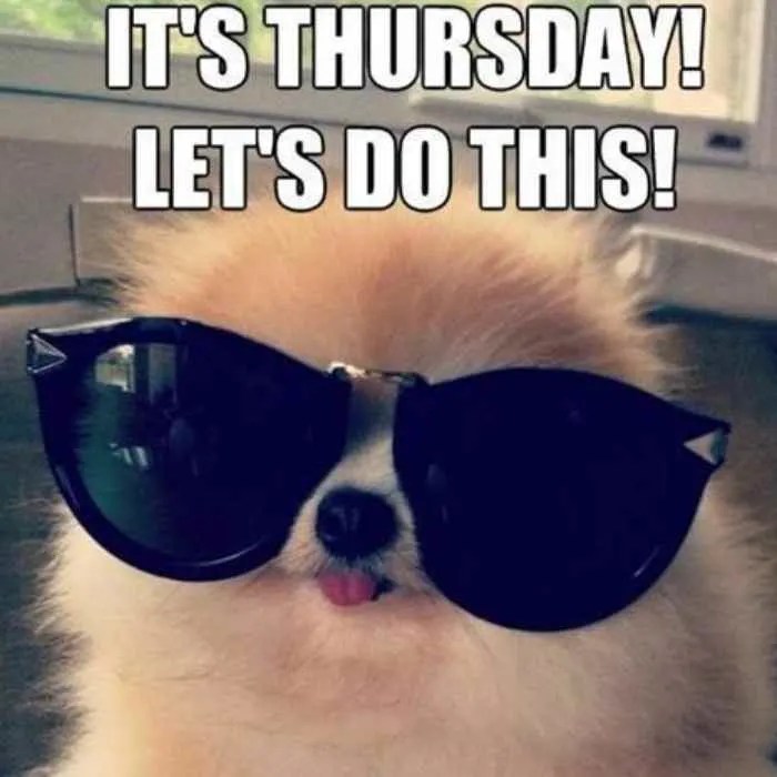 40 Funny Thursday Memes And Images To Help Survive The Week