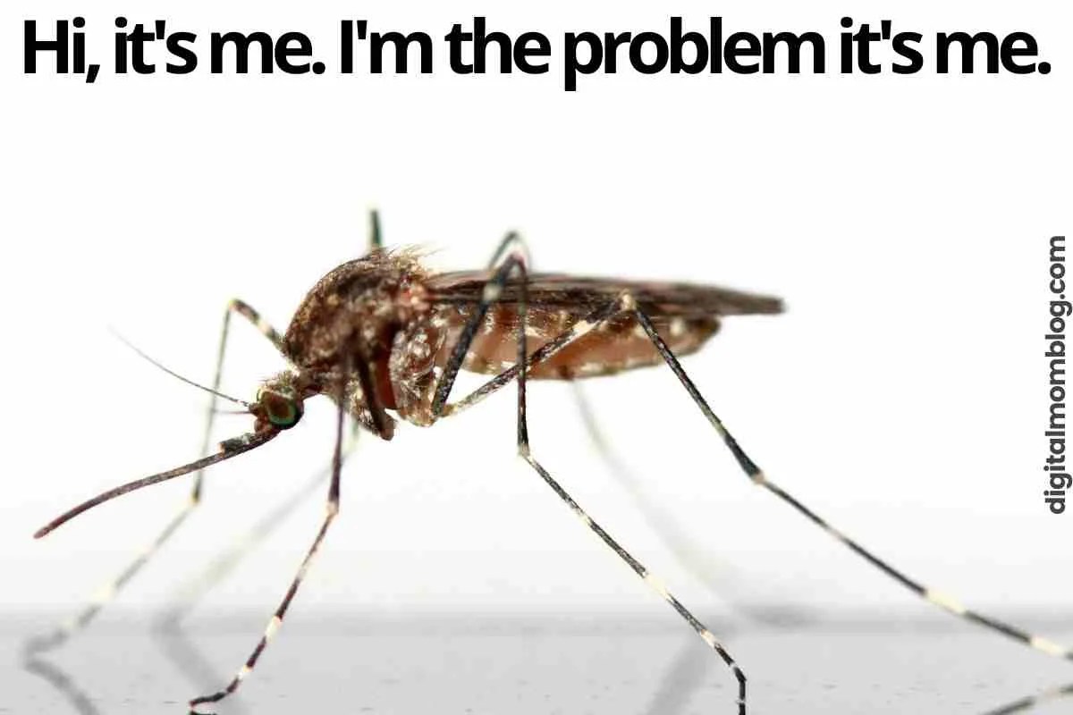 20 Funny Mosquito Memes For Bite Victims