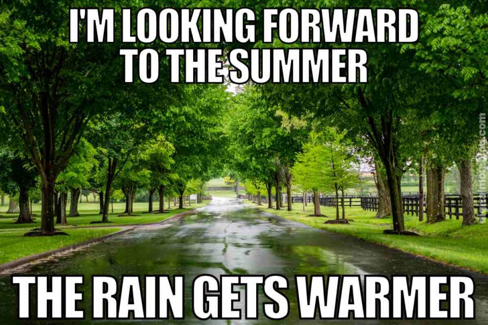 35 Sizzling Hot Weather Memes For Beating The Summer Heat