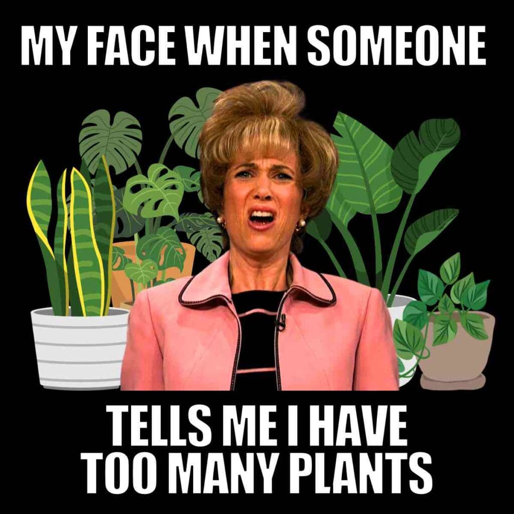 50 Hilarious Plant Memes That Every Gardener Can Relate To