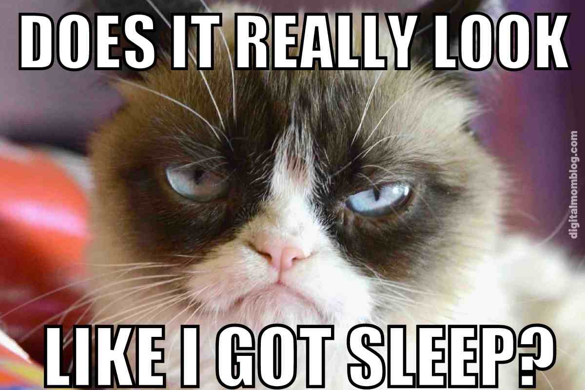 75 Funny Sleep Memes To Keep You Laughing All Night (2023)