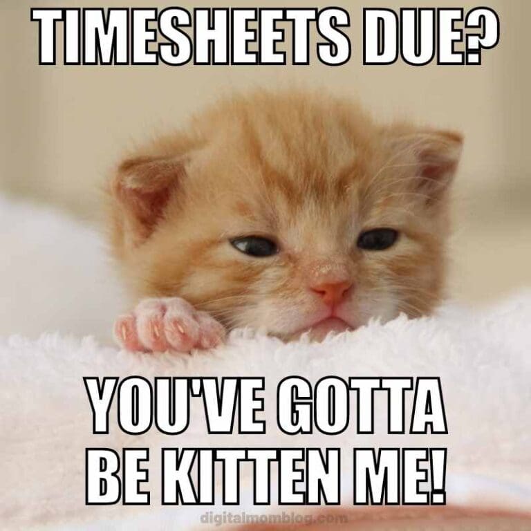 25 Funny Timesheet Memes And Reminders For The