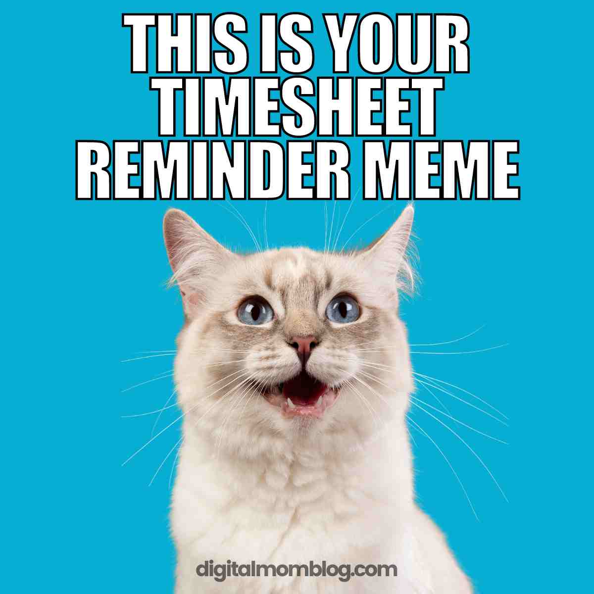 25 Funny Timesheet Memes And Reminders For The