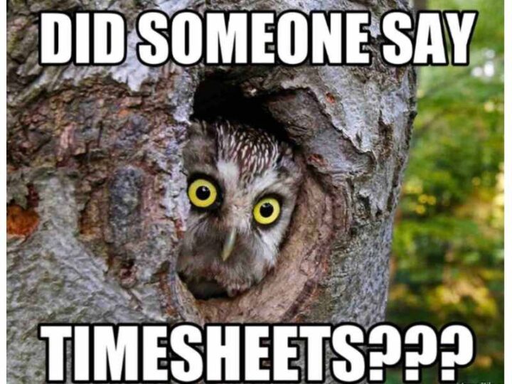 25 Funny Timesheet Memes and Reminders for the