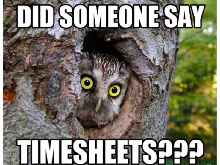 25 Funny Timesheet Memes and Reminders for the