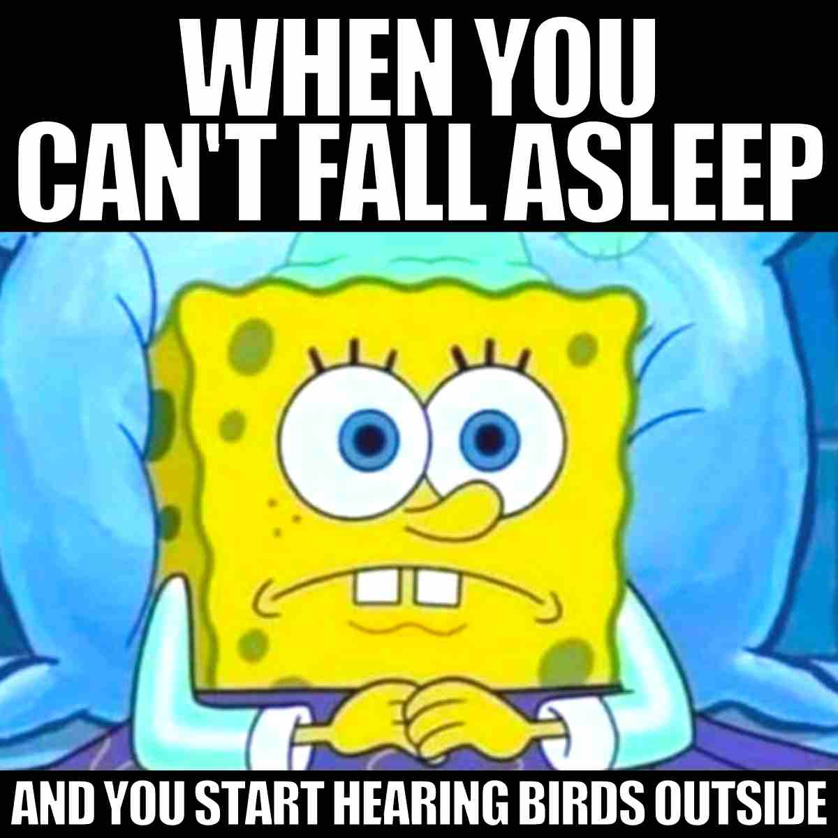 75 Funny Sleep Memes To Keep You Laughing All Night (2023)