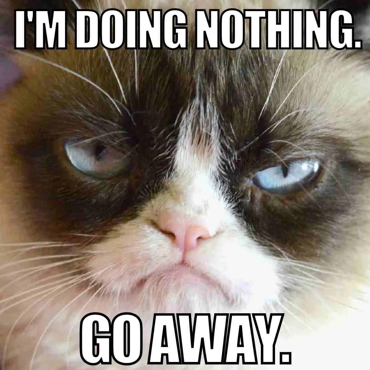 15 Funny Week Between Christmas And New Years Memes