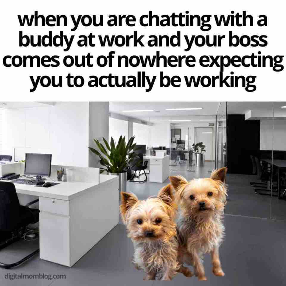 50+ Funny Coworker Memes To Share With Work Friends