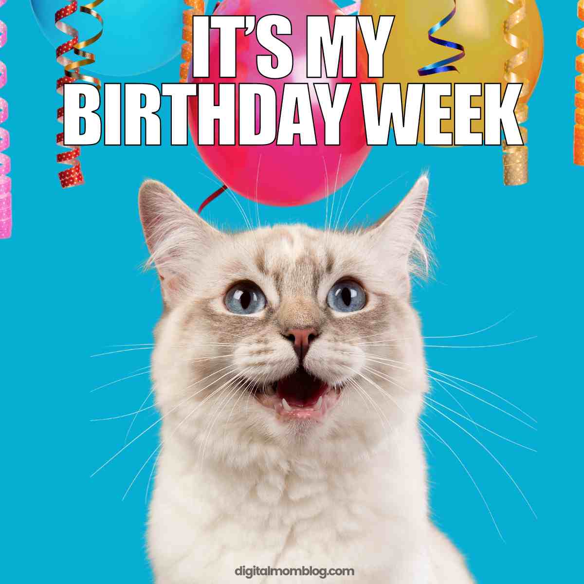 50 Best It's My Birthday Memes To Celebrate Your Special Day