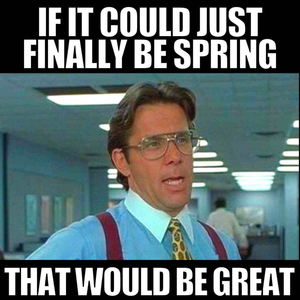 50 Funny Spring Memes To Have You Laughing All Season Long