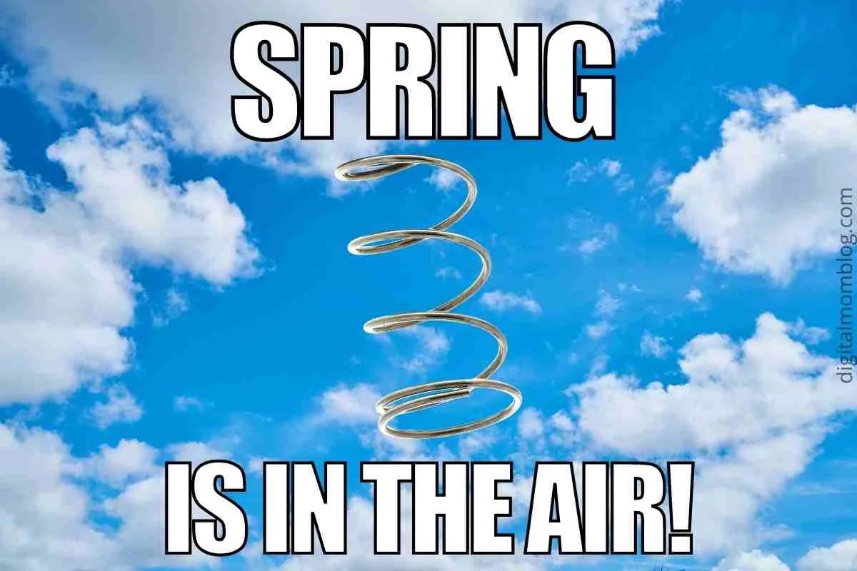 50 Funny Spring Memes To Have You Laughing All Season Long
