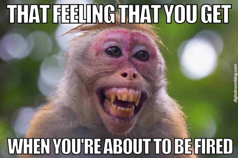 25 Best Unemployment Memes Layoffs Quitting And Being Fired