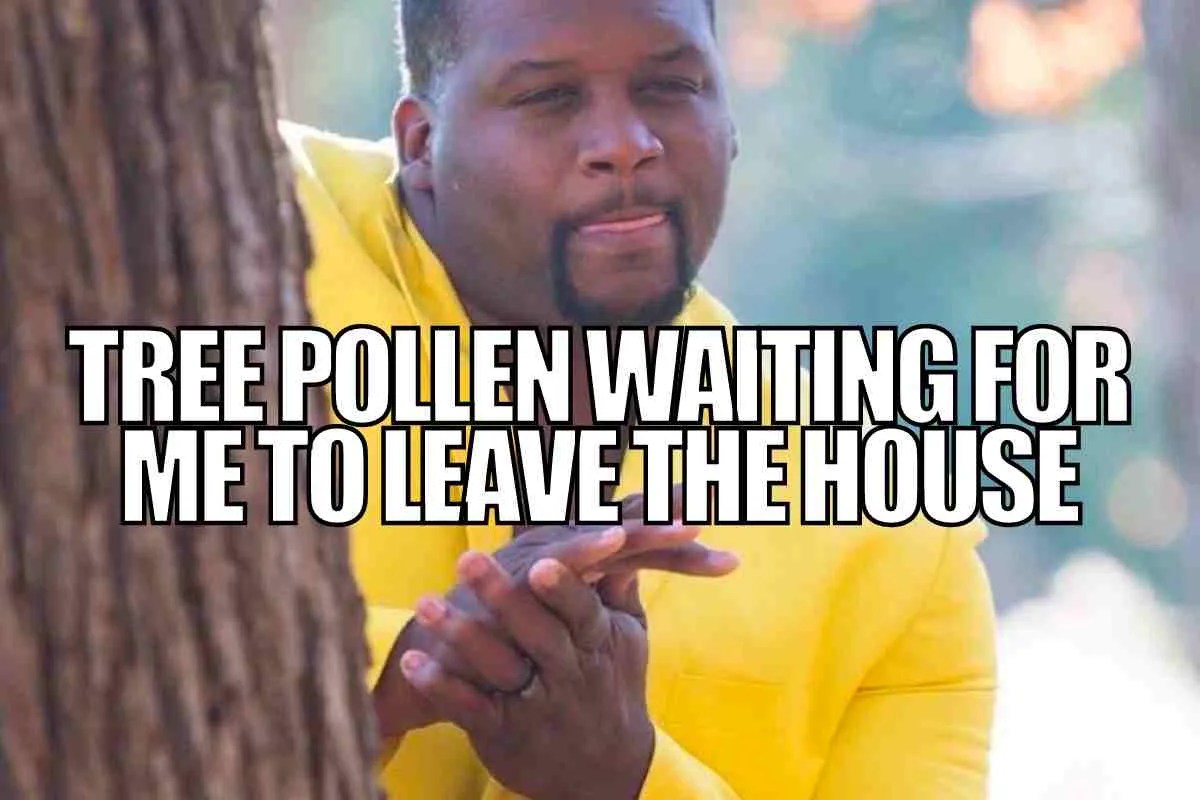 20 Best Pollen Memes To Help You Laugh Through The Sneezes