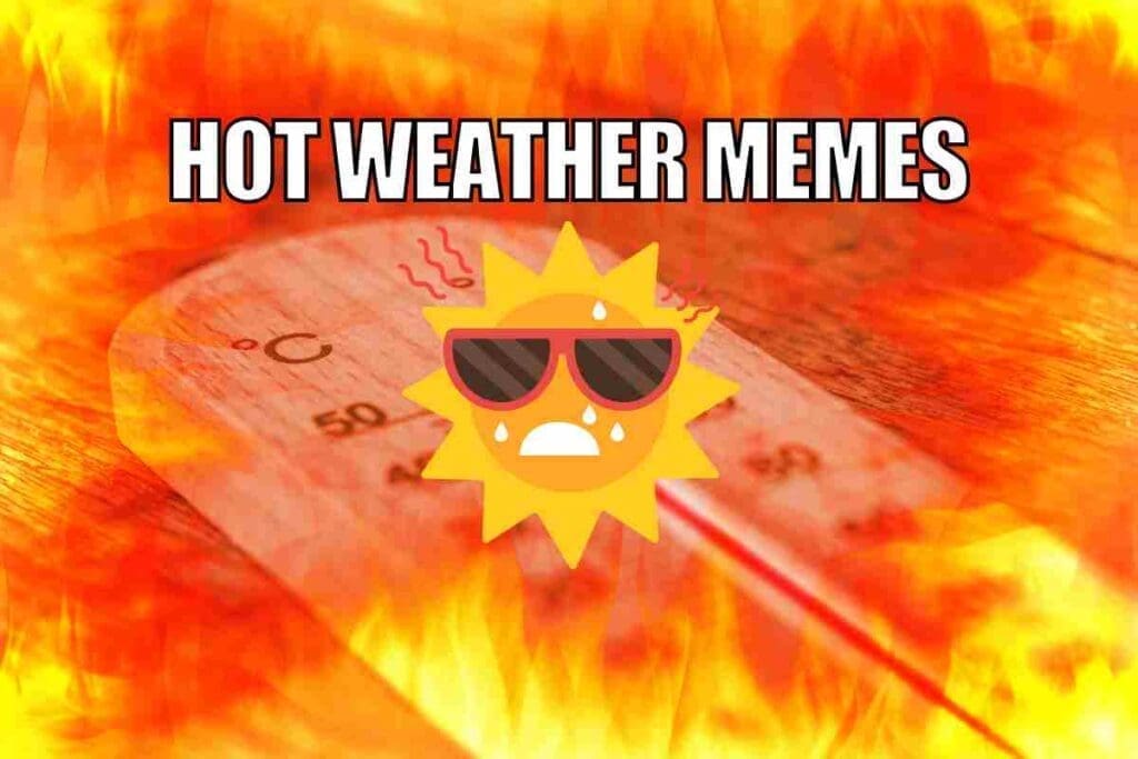 35 Sizzling Hot Weather Memes For Beating The Summer Heat(04)