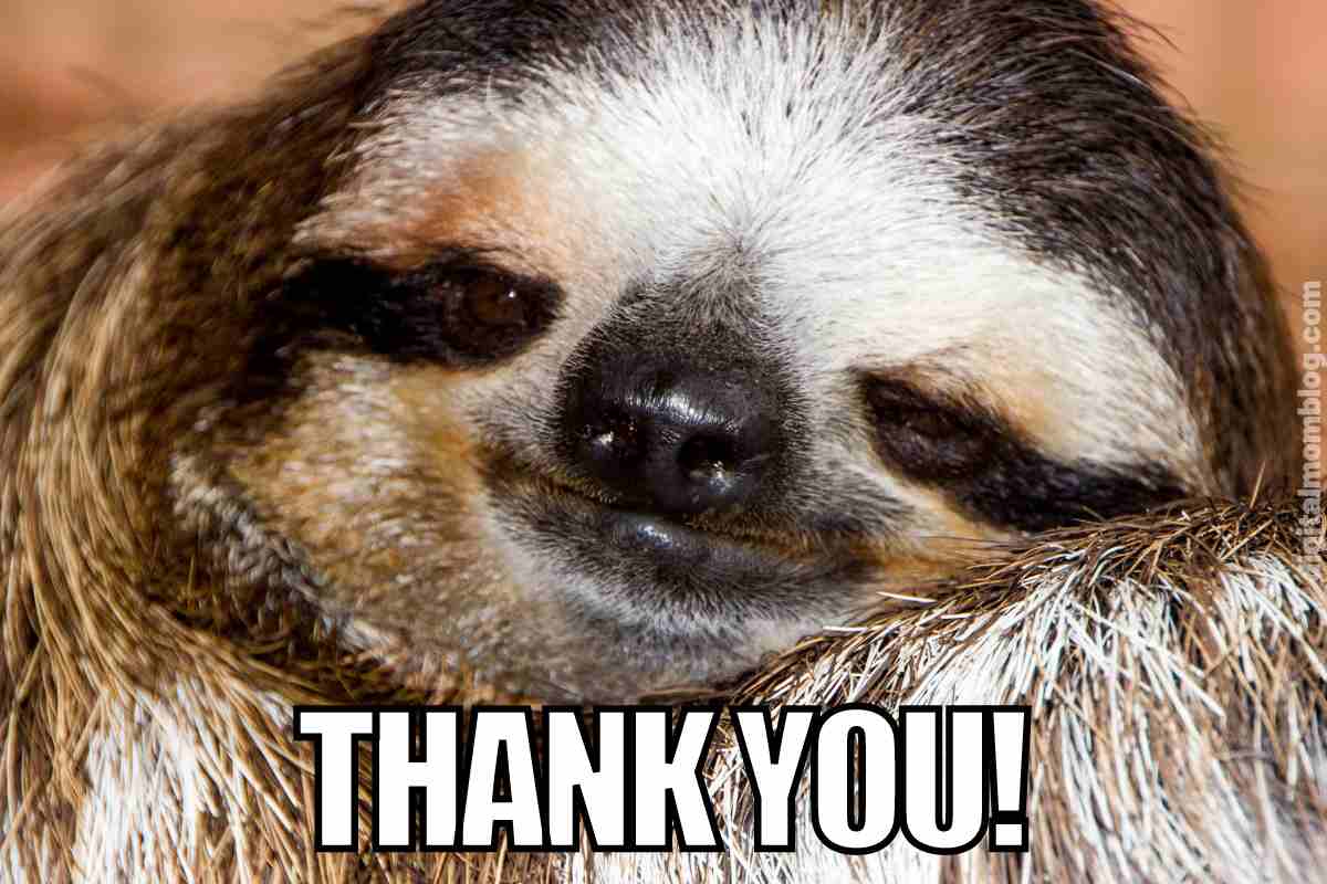 25 Thank You Memes That Speak Louder Than Sending A Card