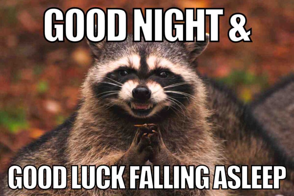 Beautiful Goodnight Memes
