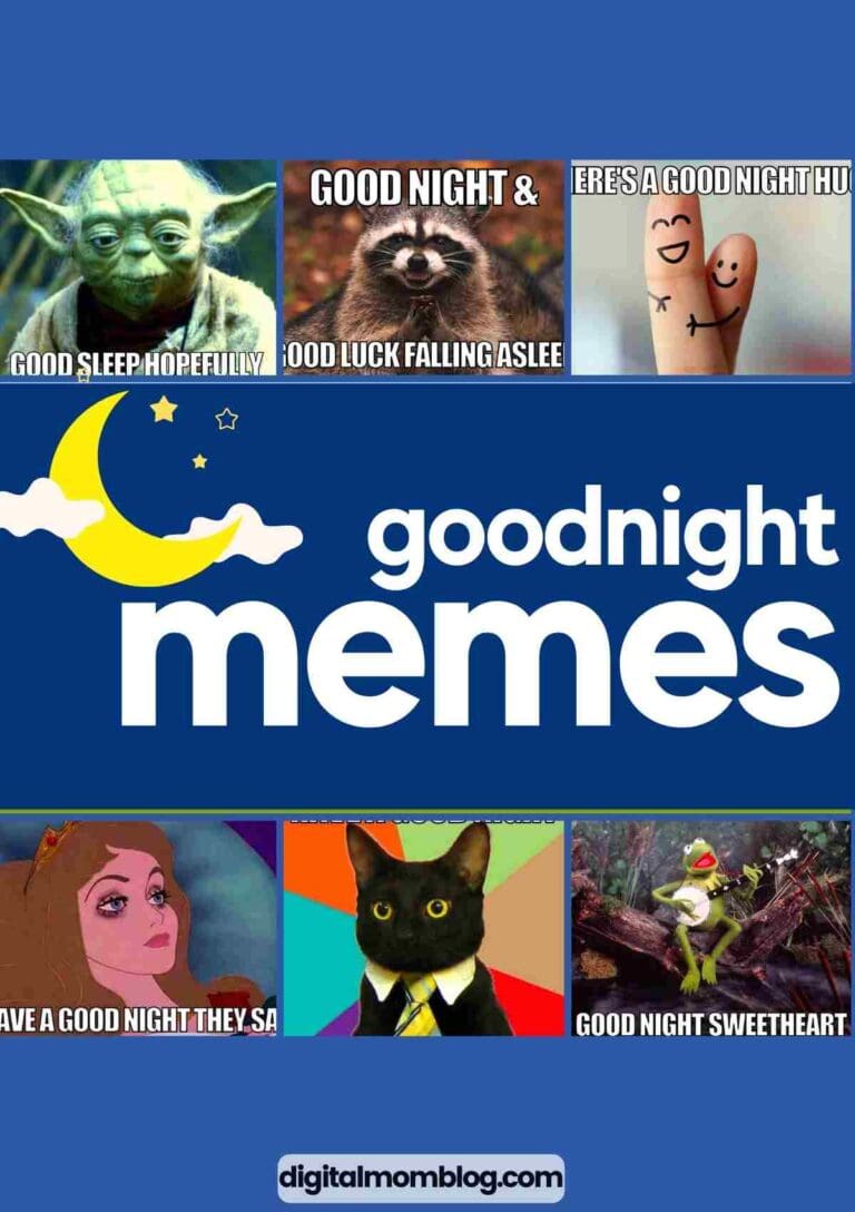 27 Best Goodnight Memes To Share Before Bedtime
