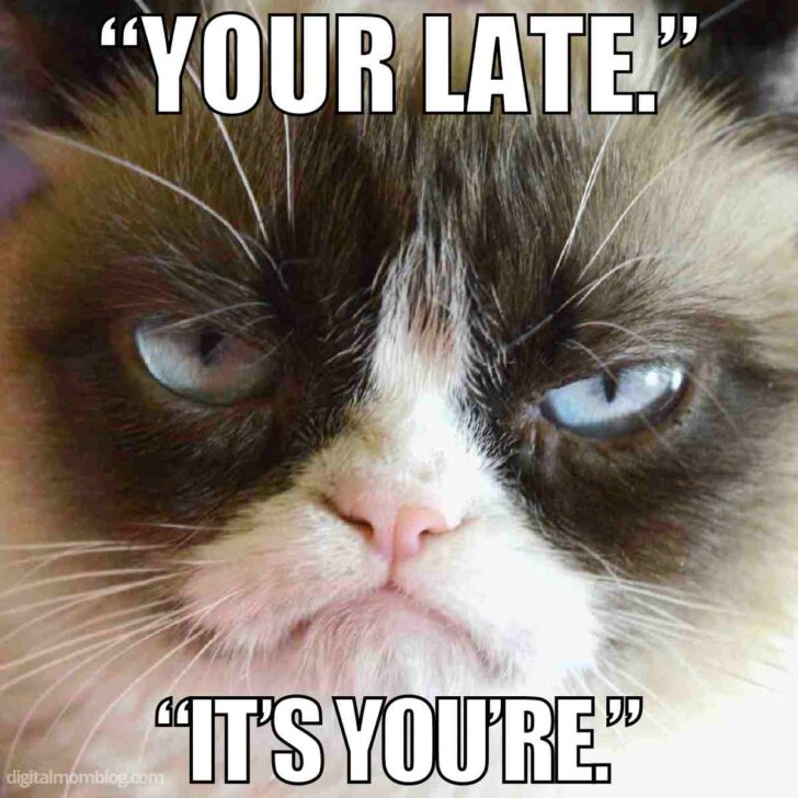 50 Funny Late Memes About Procrastination And Being Tardy(05)