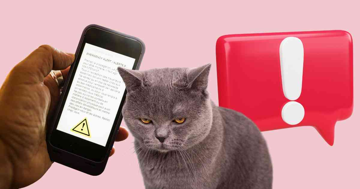 Funniest Emergency Alert System Memes For October 4 2023