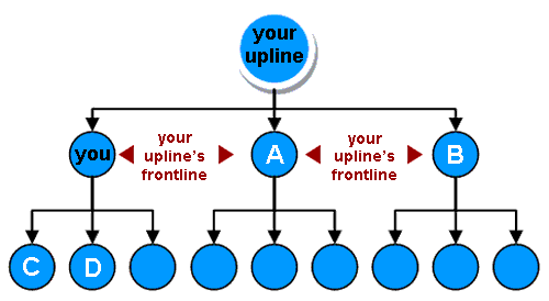 What is Upline and Downline in MultiLevel Marketing? (With Examples)