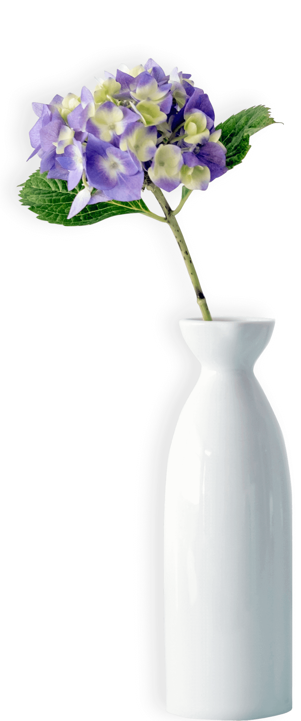 Digital Photo Frame App Photos & Videos Slideshow Player