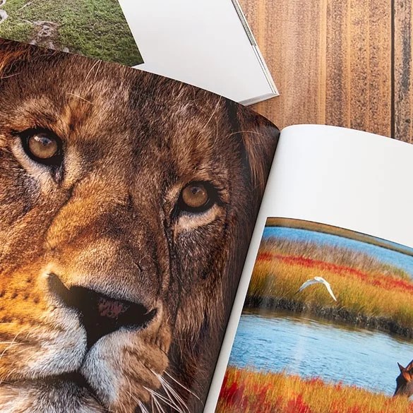 Softcover Books Photo Albums & Books Digital Pro Lab