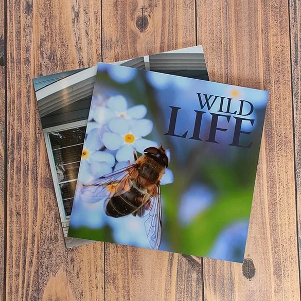 Softcover Books Photo Albums & Books Digital Pro Lab